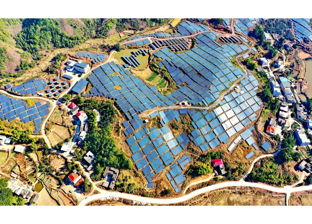 Made in China solar panels become 'energy oasis' nestled in Abu Dhabi desert